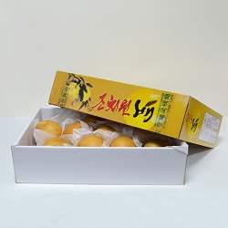 Ä®¶ó ÇÕÁö ¹Ú½º (525*375*130mm)