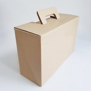 Á¾À̹ڽº (335*225*130mm)