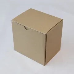����ڽ� | �������ڽ� ����