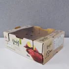 ������ �����ڽ� (280*220*100mm)