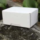 �������� ����Ʈ���� ���̽�(C�� �����ڽ�)