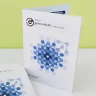��ǰ ����2