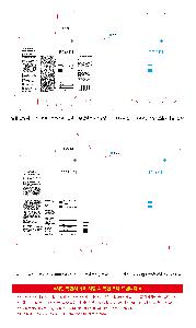 ܻ  | Įڽ_ڸ 45X140X45mm